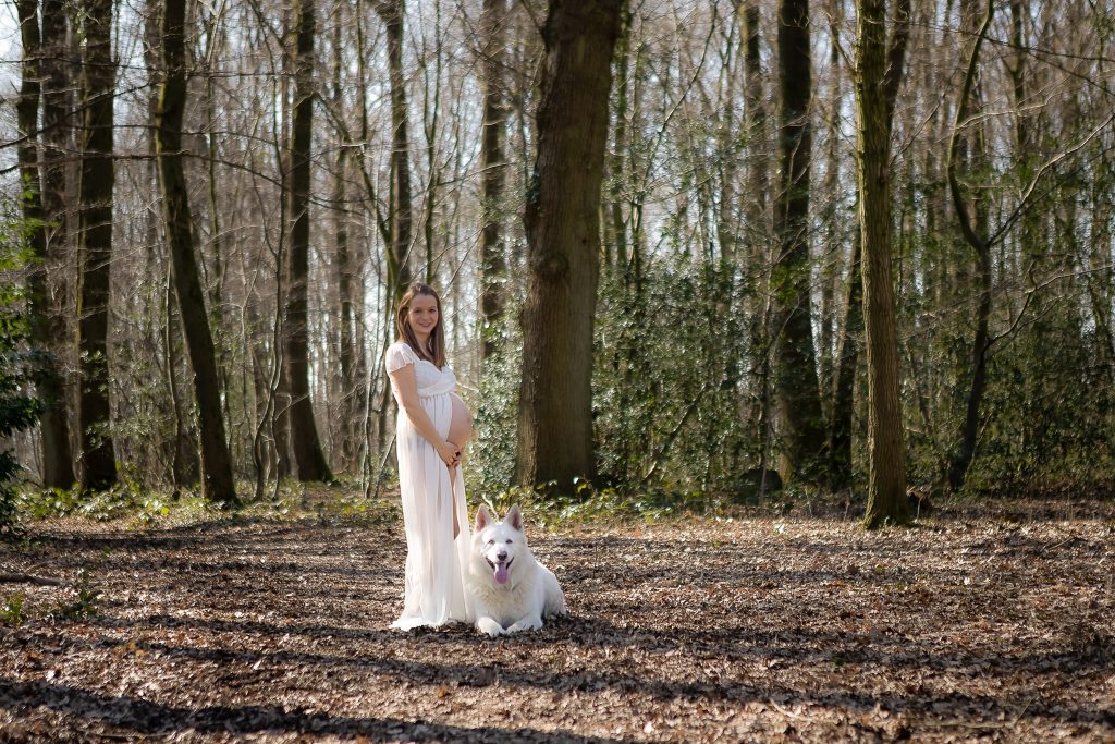 Séance photo grossesse dans les bois milieu naturel